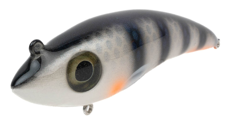 Fishion Lures Scalpel - Ghost Perch