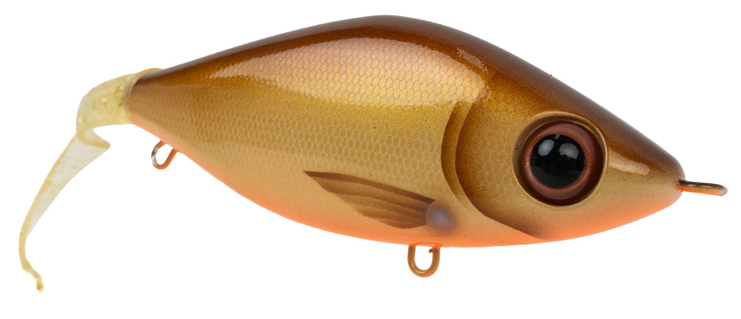 Strike Pro Guppie - Fishion Lures Custom - Dirty Roach