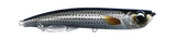 SM - Striped Mullet
