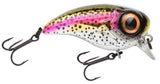 Rainbow Trout