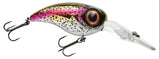 Rainbow Trout
