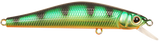 Fire Tiger