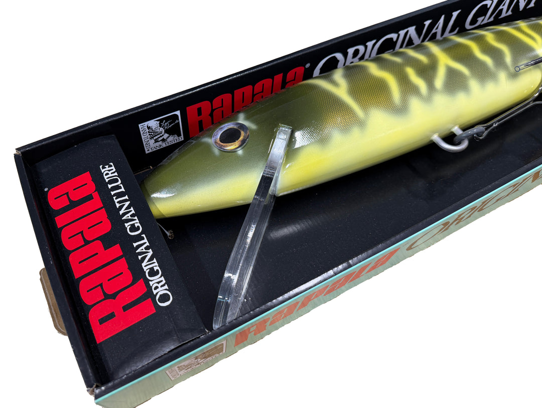 Custom Fishion Lures Giant Rapala - Juvenile Pike