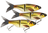 Golden Shiner