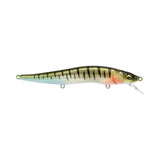 Green Zebra