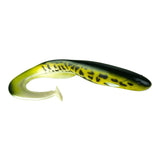 Natural Burbot