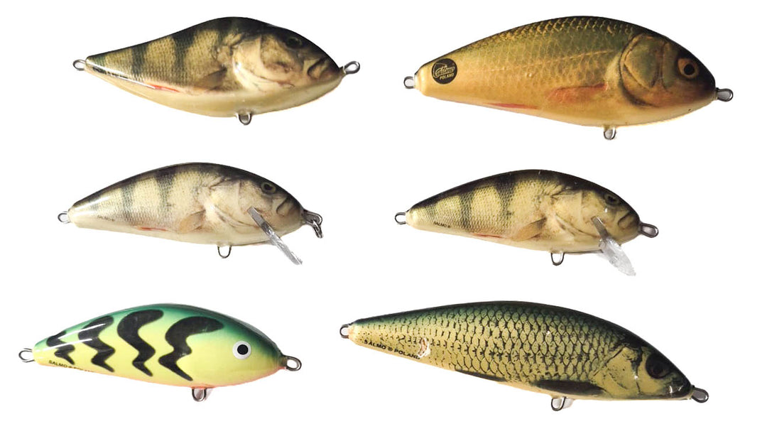 Salmo Selection - Set of 6 - Fatso, Perch, Slider &amp; Warrior