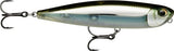 Moss Black Shiner