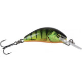 Hot Perch