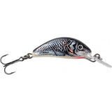 Holo Grey Shiner