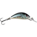 Dace Blue