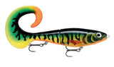 Hot Tiger Pike