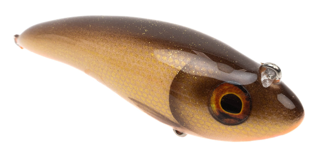 Fishion Lures Rebel - Dirty Roach