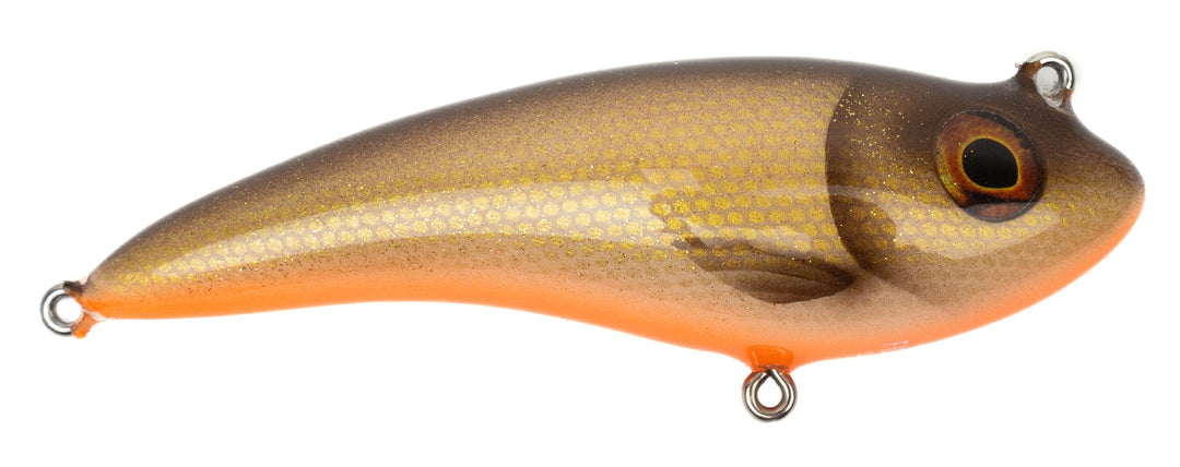 Fishion Lures Rebel - Dirty Roach