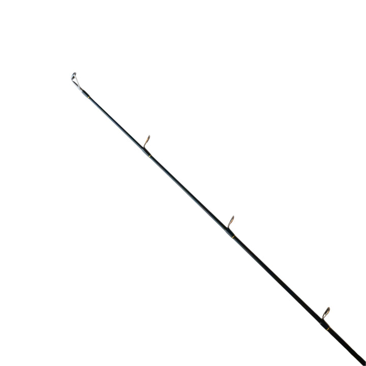 Rozemeijer Venator Tybrid Jr. Special L + Fishion Lures Tybrid Jr. Toxic Trout