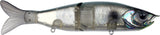 Abalone Shad