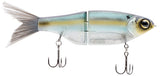 Gizzard Shad