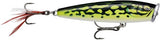 Gilded Lime Frog