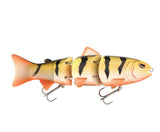 Gold Perch