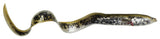 Lamprey Photo Print