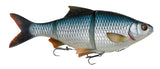 Roach