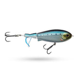 Sardine
