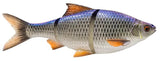 Blue Roach