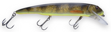 Black Perch