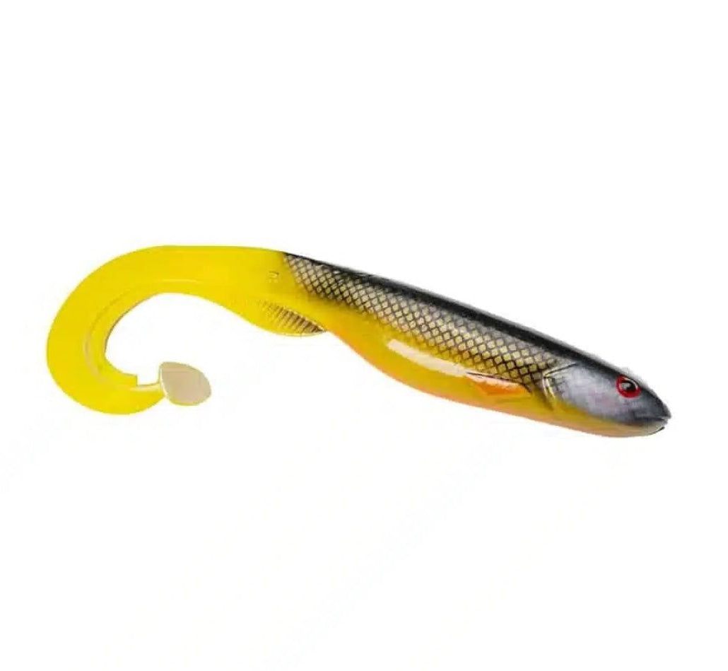 Gator Catfish - 35cm