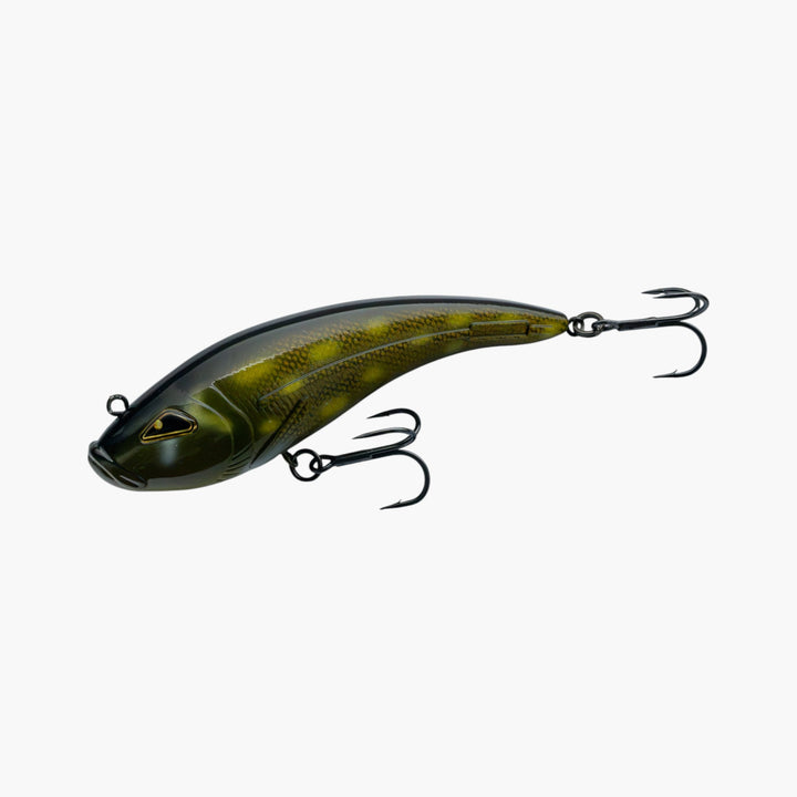 Rozemeijer Venator Tybrid Special Heavy + Fishion Lures Tybrid Pike