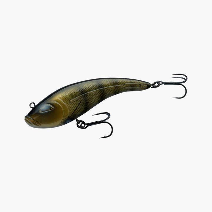 Rozemeijer Venator Tybrid Special Medium + Fishion Lures Tybrid Zander