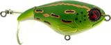 Leopard Frog