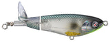 Abalone Shad