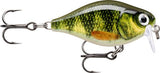 Live Perch