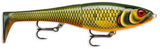 Scaled Roach