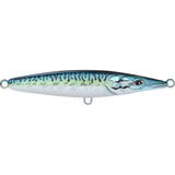 Blue Mackerel