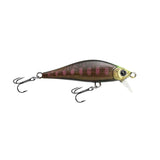 Winter Stream Perch
