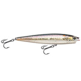 MS American Shad