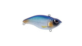Blue Shiner