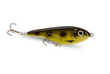 Spotted Bullhead
