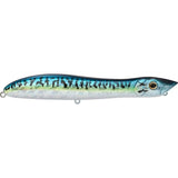 Blue Mackerel