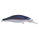 Blue Back Silver