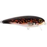 Burbot