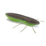C-05