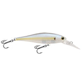 Chartreuse Shad