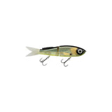 Funky Fish