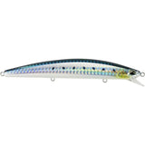Sardine