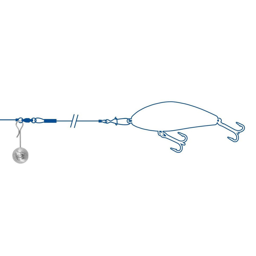 Dragon Spinning Weights