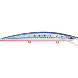 Mazume Sardine