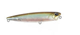 Ghost Minnow